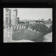 Böhl glass slide 32./2620b